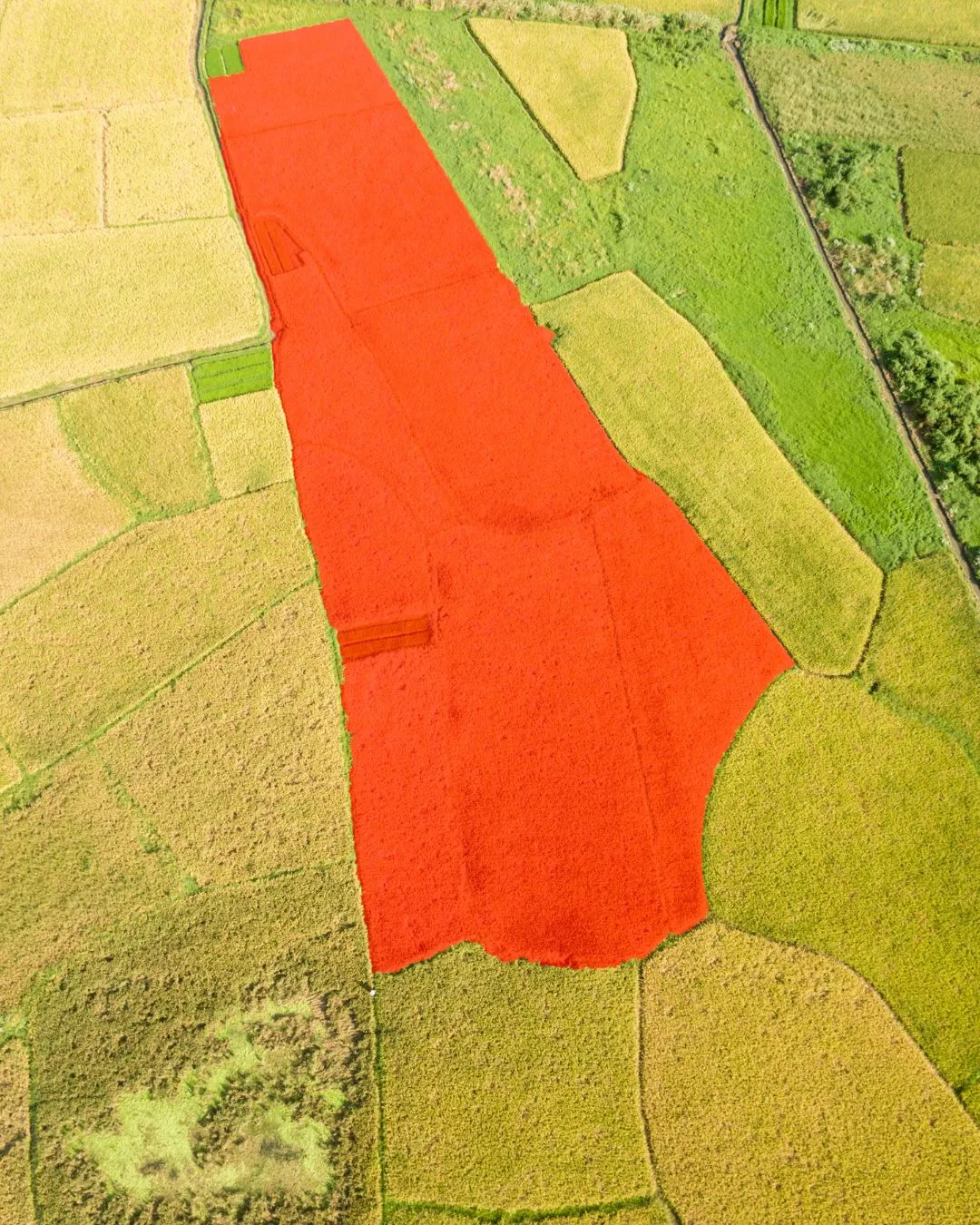 Cartographie et analyse de terrain par photogrammétrie drone.